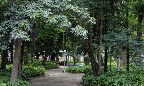 BM: Mutirão de limpeza será realizado no Jardim das Preguiças neste sábado